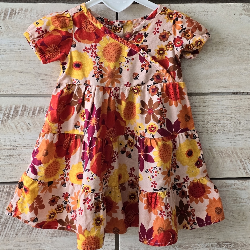Gymboree Baby Girls' Short Sleeve Dressy Flower Dresses with diaper cover